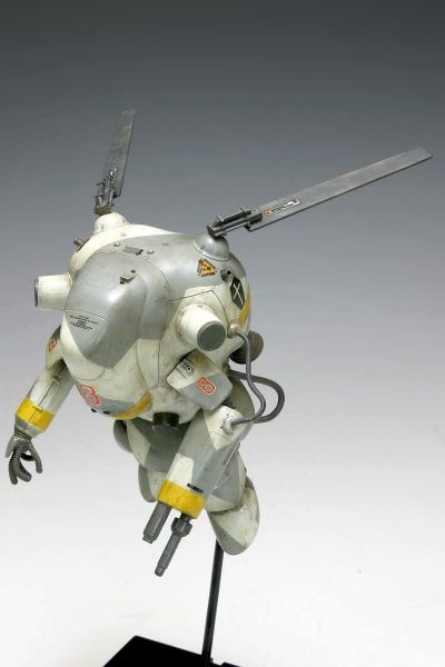 61wifw28cel._ac_sl1200_.jpg 61wifw28cel._ac_sl1200_.jpg