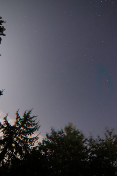 img_3184_raw.jpg img_3184_raw.jpg