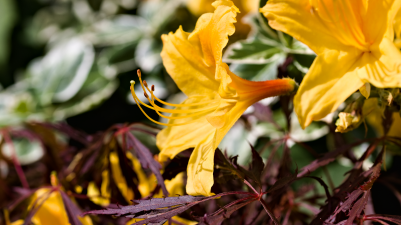 img_5399.png img_5399.png