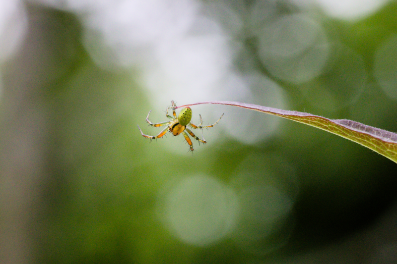 img_5689.png img_5689.png