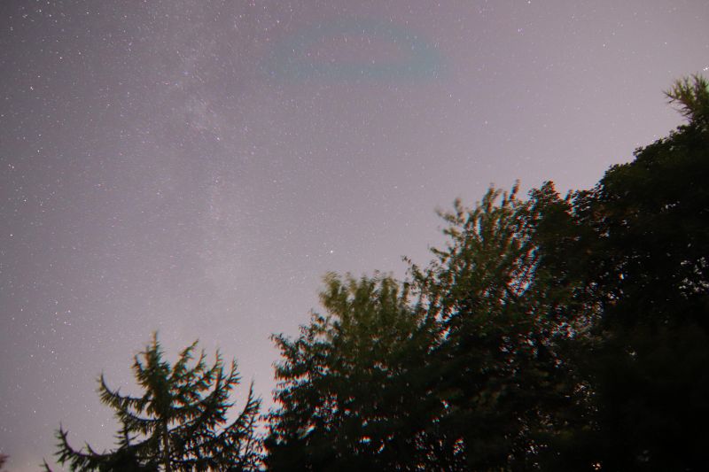 img_3497_raw.jpg img_3497_raw.jpg