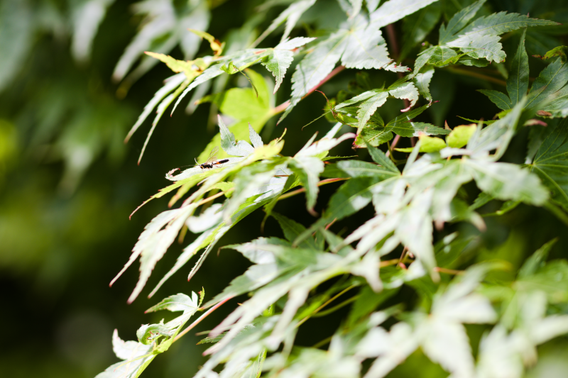 img_5408.png img_5408.png