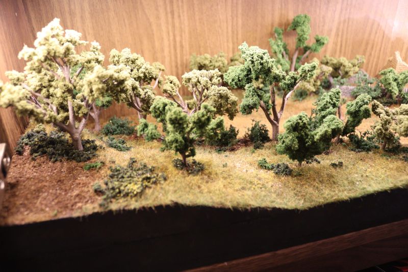 img_6179.thumb.jpg img_6179.thumb.jpg