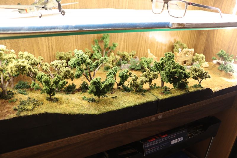 img_6175.thumb.jpg img_6175.thumb.jpg