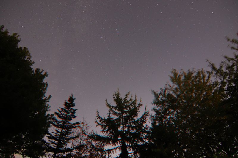 img_3751.jpg img_3751.jpg