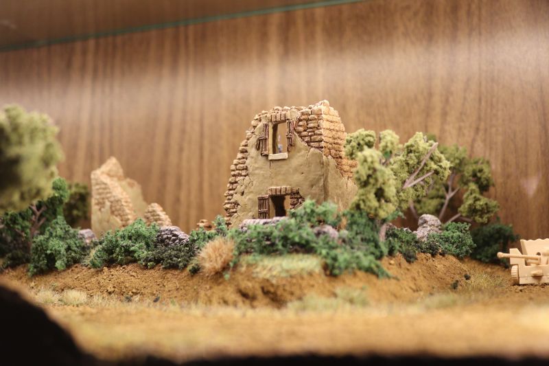 img_6184.thumb.jpg img_6184.thumb.jpg