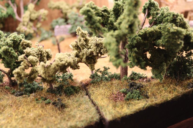 img_6191.thumb.jpg img_6191.thumb.jpg