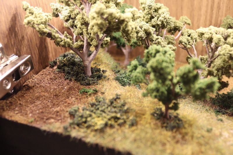 img_6193.thumb.jpg img_6193.thumb.jpg