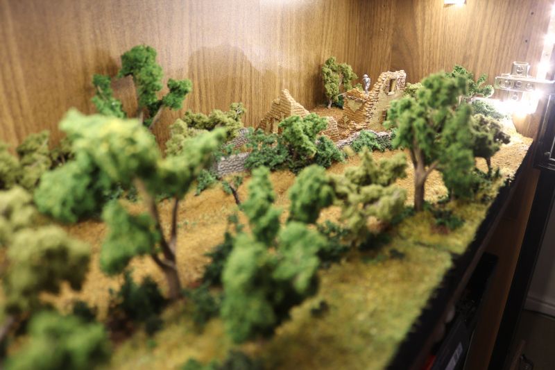 img_6174.thumb.jpg img_6174.thumb.jpg