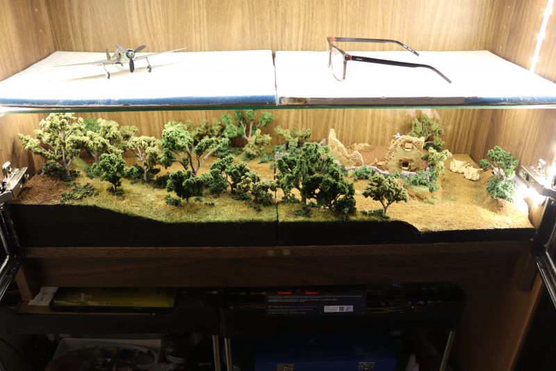 img_6178.thumb.jpg img_6178.thumb.jpg