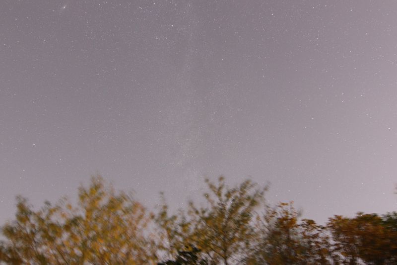 img_3804_raw.jpg img_3804_raw.jpg