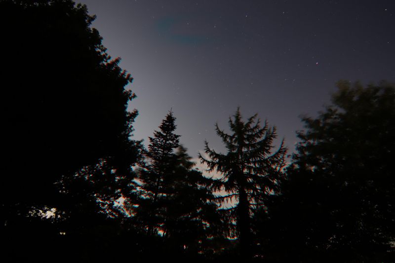 img_3180_raw.jpg img_3180_raw.jpg