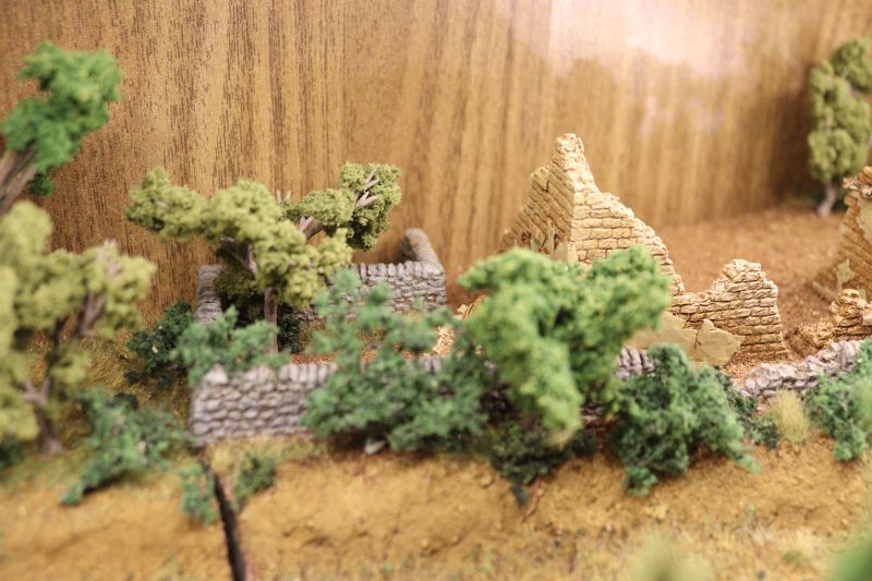 img_6182.thumb.jpg img_6182.thumb.jpg