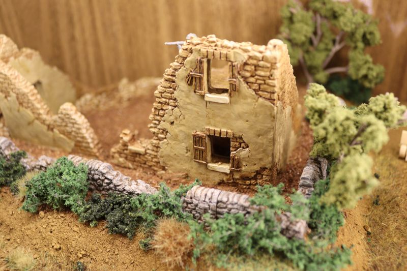 img_6192.thumb.jpg img_6192.thumb.jpg