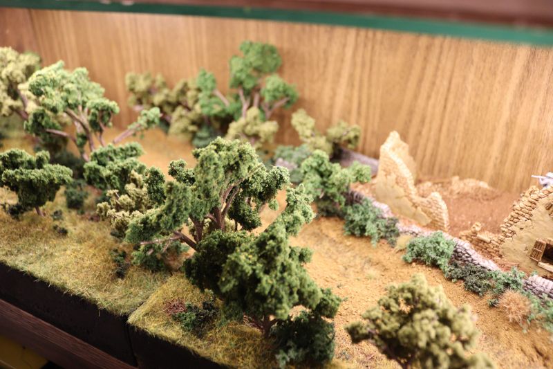 img_6180.thumb.jpg img_6180.thumb.jpg