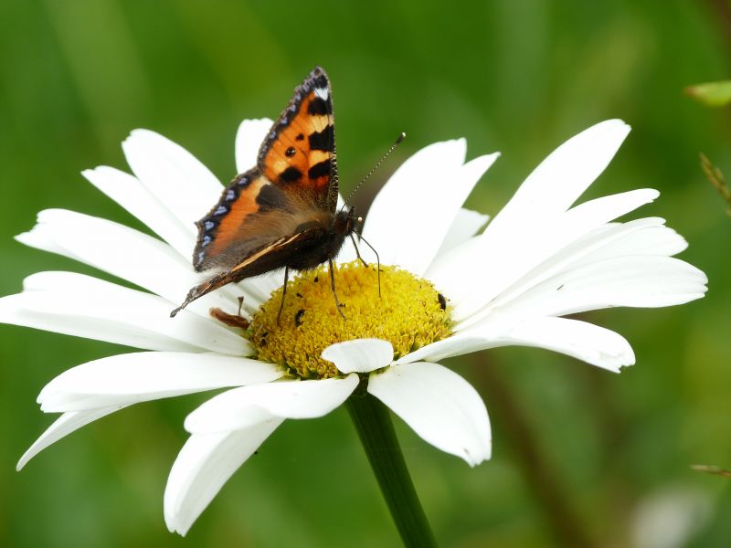 p1040546.jpg p1040546.jpg