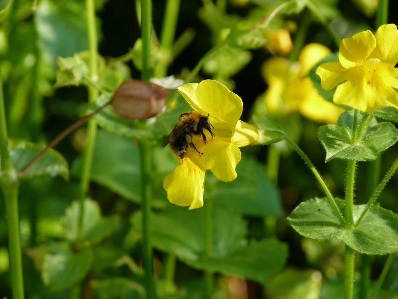 p1040558.jpg p1040558.jpg