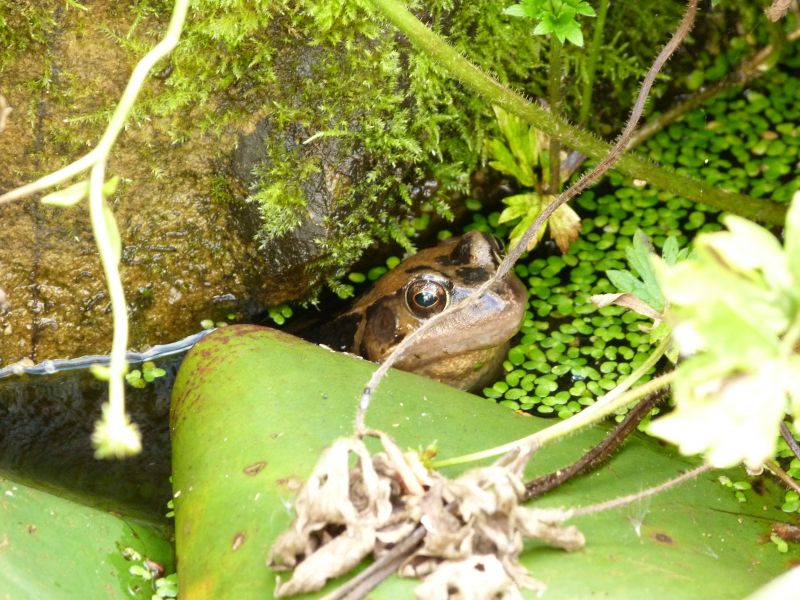 p1090583.jpg p1090583.jpg