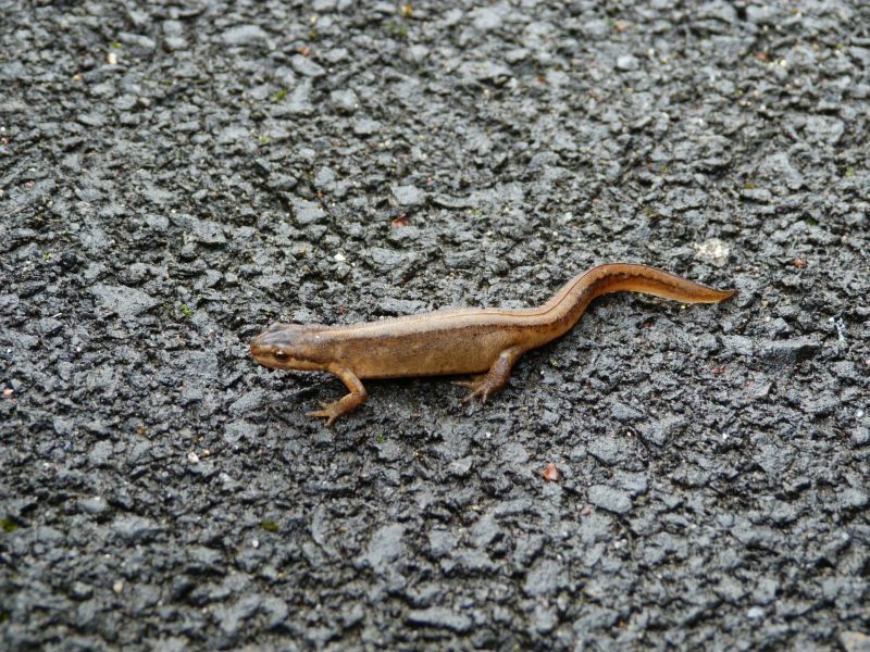 p1040109.jpg p1040109.jpg