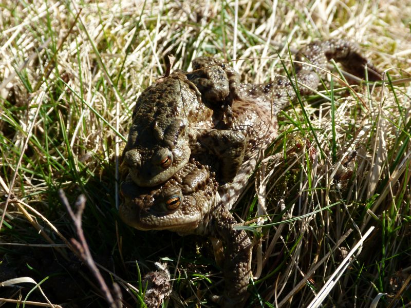 p1050018.jpg p1050018.jpg