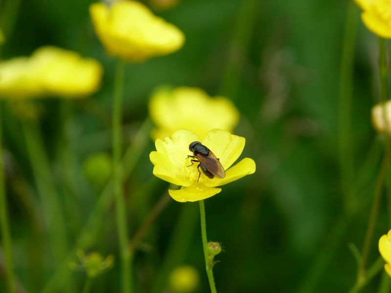 p1030641-.jpg p1030641-.jpg