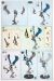 aeldari-swooping-hawks-2025-assembly-instructions-03.jpg