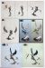 aeldari-swooping-hawks-2025-assembly-instructions-05.jpg